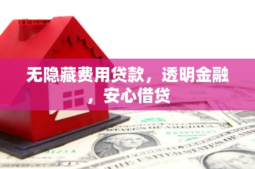 苍南无隐藏费用贷款，透明金融，安心借贷