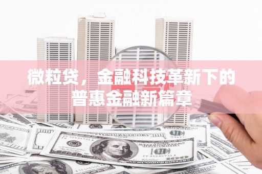 苍南微粒贷，金融科技革新下的普惠金融新篇章