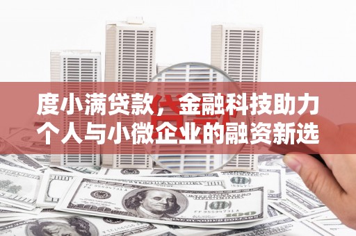 苍南度小满贷款，金融科技助力个人与小微企业的融资新选择