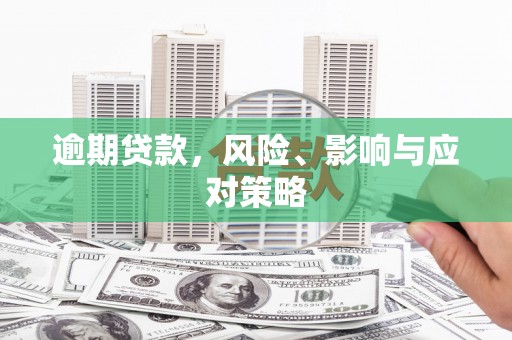 苍南逾期贷款，风险、影响与应对策略