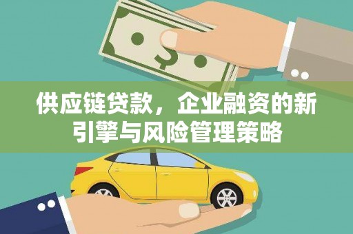 苍南供应链贷款，企业融资的新引擎与风险管理策略