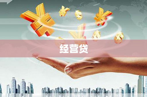 苍南经营贷