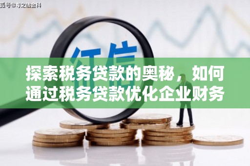苍南探索税务贷款的奥秘，如何通过税务贷款优化企业财务