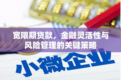 苍南宽限期贷款，金融灵活性与风险管理的关键策略
