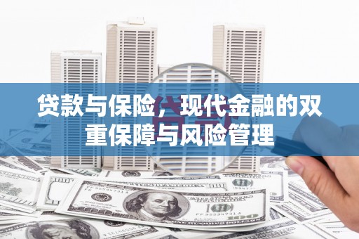 苍南贷款与保险，现代金融的双重保障与风险管理