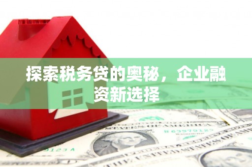 苍南探索税务贷的奥秘，企业融资新选择