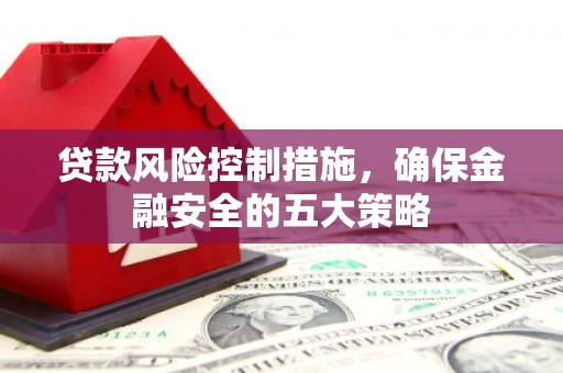 苍南贷款风险控制措施，确保金融安全的五大策略