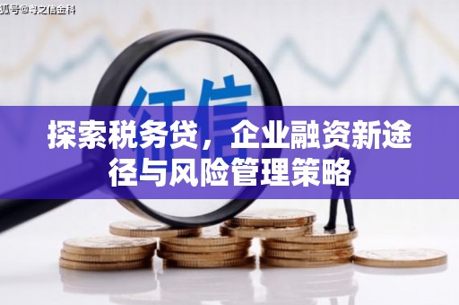 苍南探索税务贷，企业融资新途径与风险管理策略