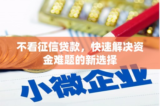 苍南不看征信贷款，快速解决资金难题的新选择