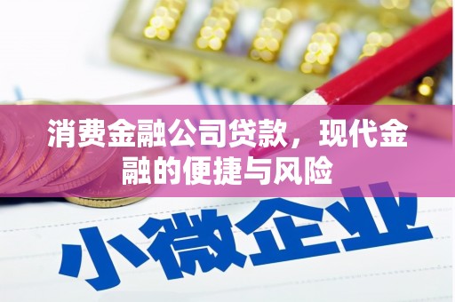 苍南消费金融公司贷款，现代金融的便捷与风险
