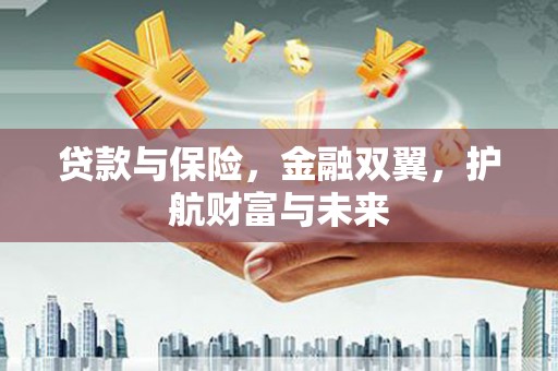 苍南贷款与保险，金融双翼，护航财富与未来