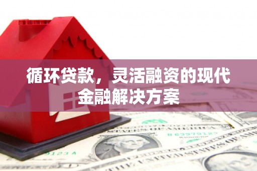 苍南循环贷款，灵活融资的现代金融解决方案