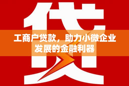苍南工商户贷款，助力小微企业发展的金融利器