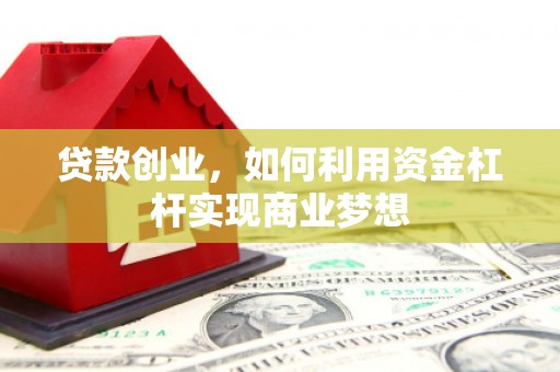 苍南贷款创业，如何利用资金杠杆实现商业梦想