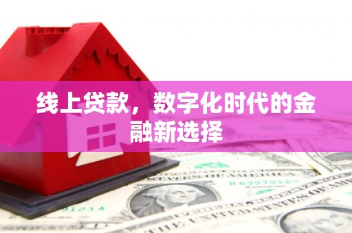 苍南线上贷款，数字化时代的金融新选择