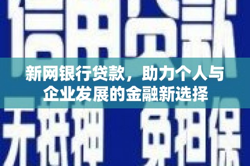 苍南新网银行贷款，助力个人与企业发展的金融新选择
