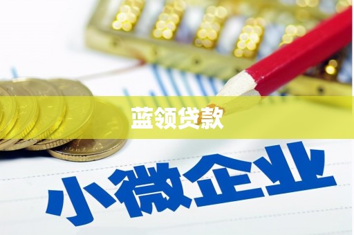 苍南蓝领贷款