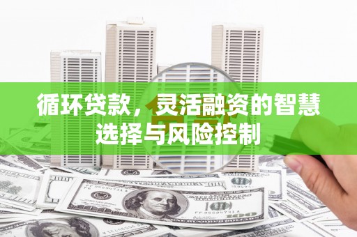 苍南循环贷款，灵活融资的智慧选择与风险控制