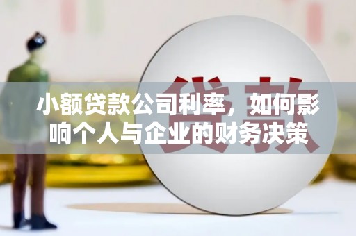 苍南小额贷款公司利率，如何影响个人与企业的财务决策