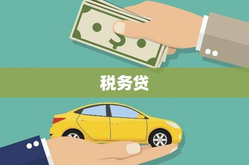 苍南税务贷