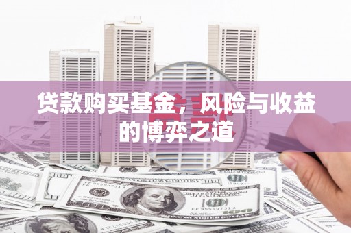 苍南贷款购买基金，风险与收益的博弈之道
