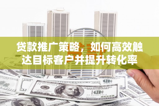 苍南贷款推广策略，如何高效触达目标客户并提升转化率