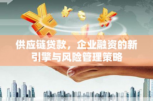 苍南供应链贷款，企业融资的新引擎与风险管理策略