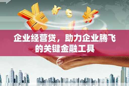 苍南企业经营贷，助力企业腾飞的关键金融工具