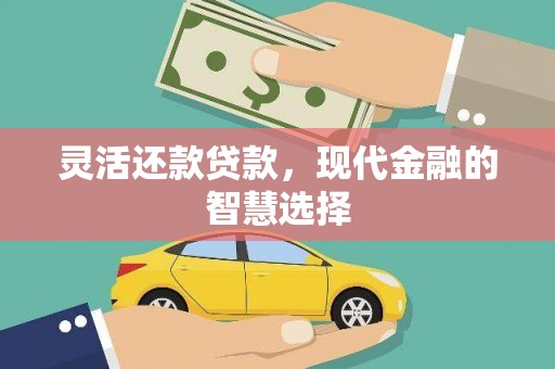 苍南灵活还款贷款，现代金融的智慧选择
