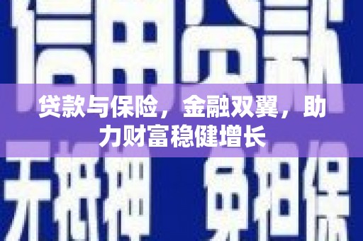 苍南贷款与保险，金融双翼，助力财富稳健增长