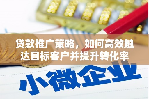 苍南贷款推广策略，如何高效触达目标客户并提升转化率