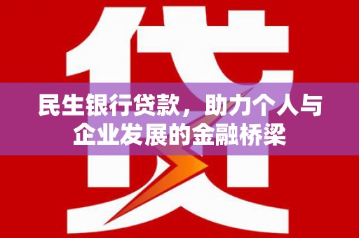 苍南民生银行贷款，助力个人与企业发展的金融桥梁