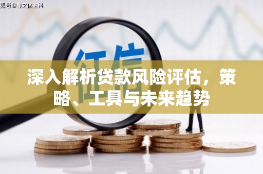 苍南深入解析贷款风险评估，策略、工具与未来趋势