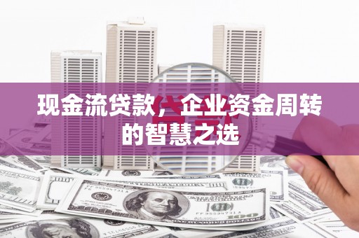 苍南现金流贷款，企业资金周转的智慧之选
