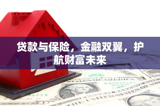 苍南贷款与保险，金融双翼，护航财富未来