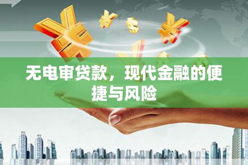 苍南无电审贷款，现代金融的便捷与风险
