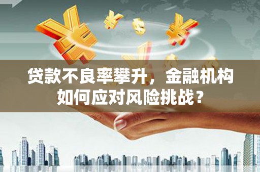 苍南贷款不良率攀升，金融机构如何应对风险挑战？