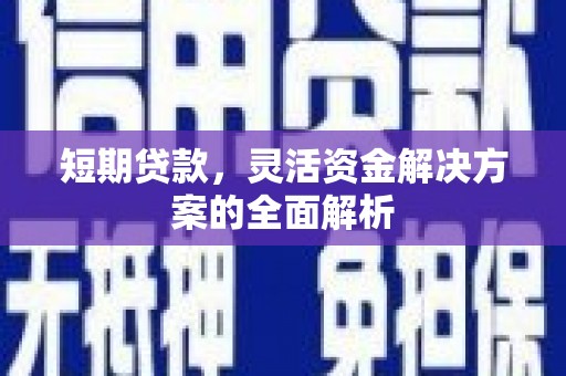 苍南短期贷款，灵活资金解决方案的全面解析