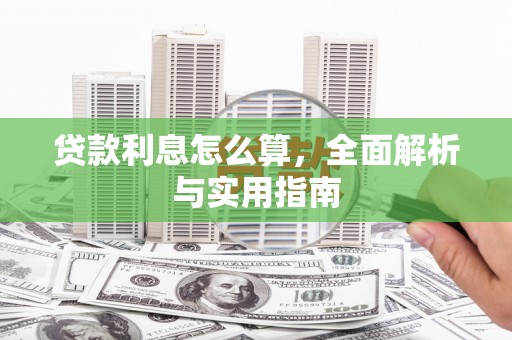 苍南贷款利息怎么算，全面解析与实用指南