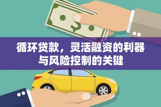 苍南循环贷款，灵活融资的利器与风险控制的关键