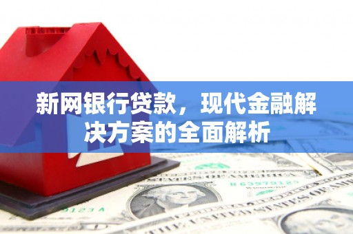 苍南新网银行贷款，现代金融解决方案的全面解析