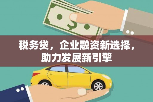 苍南税务贷，企业融资新选择，助力发展新引擎