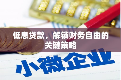 苍南低息贷款，解锁财务自由的关键策略