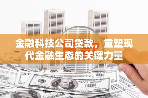 苍南金融科技公司贷款，重塑现代金融生态的关键力量