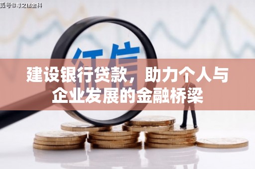 苍南建设银行贷款，助力个人与企业发展的金融桥梁