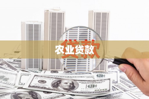 苍南农业贷款