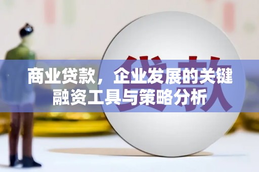 苍南商业贷款，企业发展的关键融资工具与策略分析