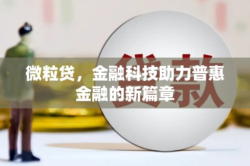 苍南微粒贷，金融科技助力普惠金融的新篇章