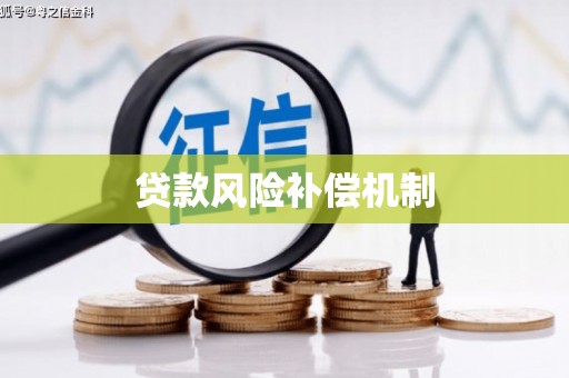 苍南贷款风险补偿机制