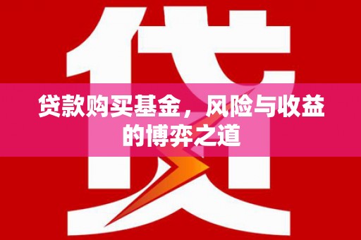 苍南贷款购买基金，风险与收益的博弈之道